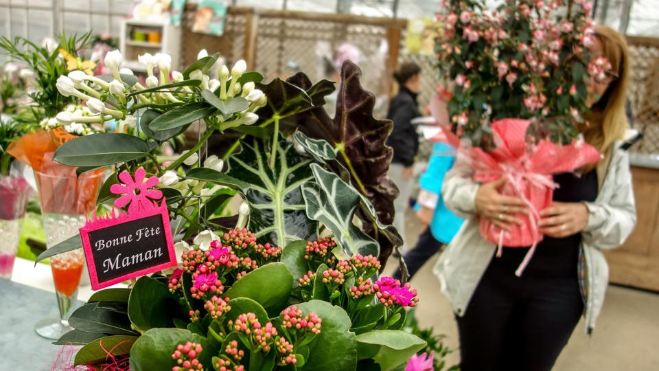 Why Are Flowers So Expensive Bbc Worklife
