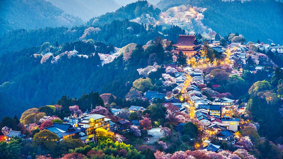 Japan’s diverse meetings and events destinations - Yoshino