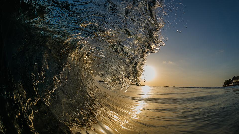 Surfing-image-04.jpg