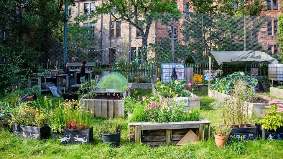 Raised beds in Children’s Wood, Glasgow. Raised beds in Children’s Wood, Glasgow.