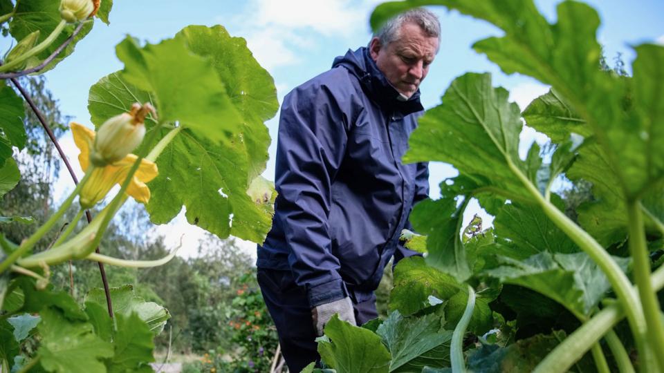 Gardener tends allotment at Children’s Wood Gardener tends allotment at Children’s Wood