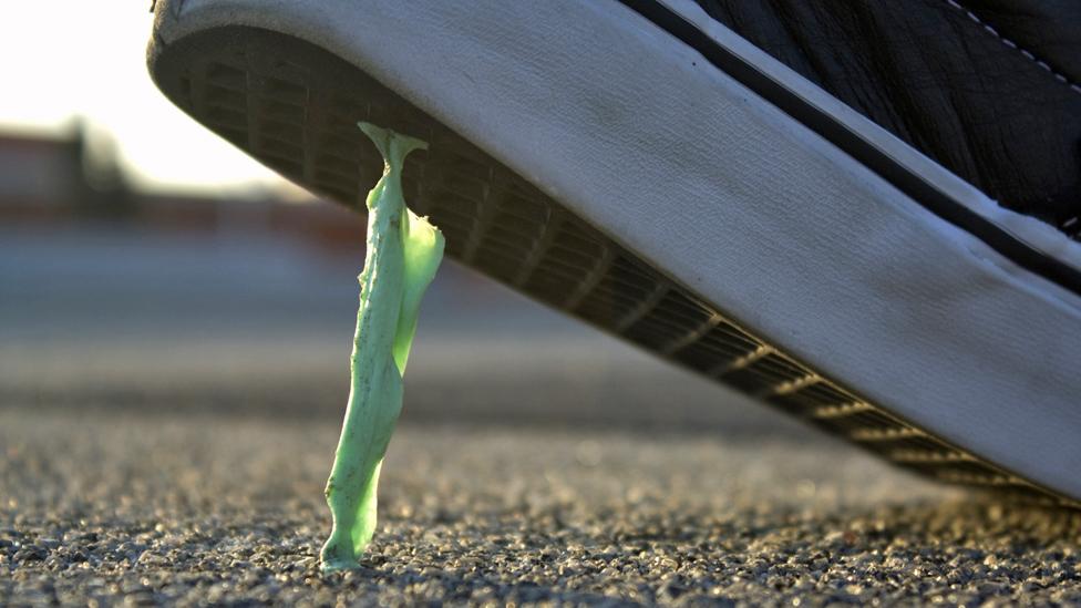 ‘Chewing gum should selfdissolve’ BBC Future