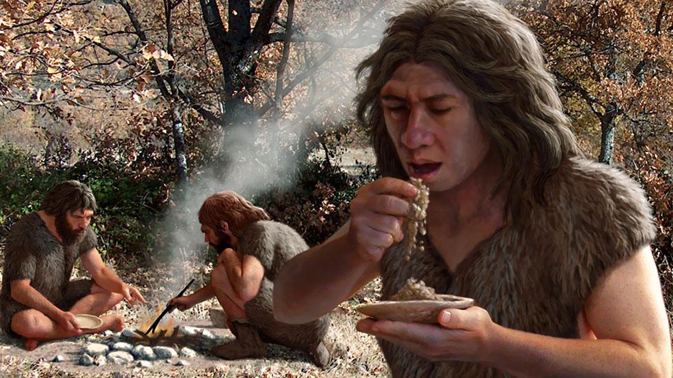 Earlier this year we saw the biggest study exploring whether we should follow a diet like cavepeople (Science Photo Library) Earlier this year we saw the biggest study exploring whether we should follow a diet like cavepeople (Science Photo Library)