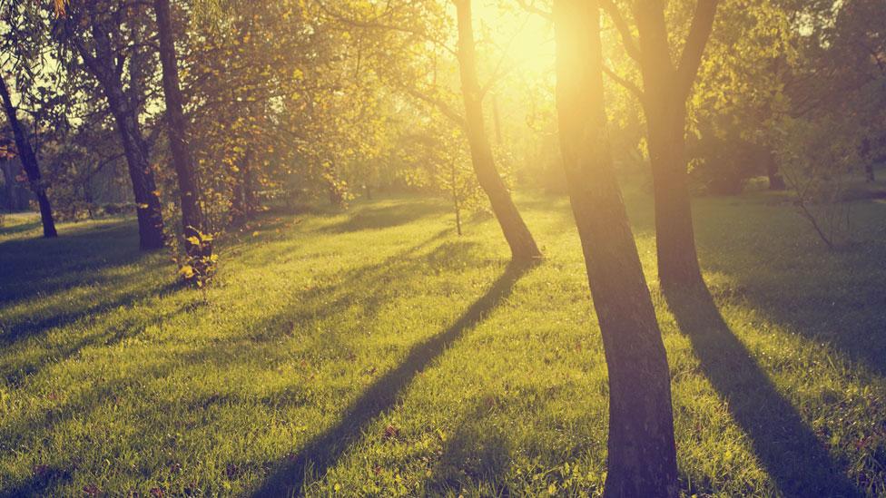 To have a brighter future, we need to look with fresh eyes at what we take for granted today (Thinkstock) To have a brighter future, we need to look with fresh eyes at what we take for granted today (Thinkstock)