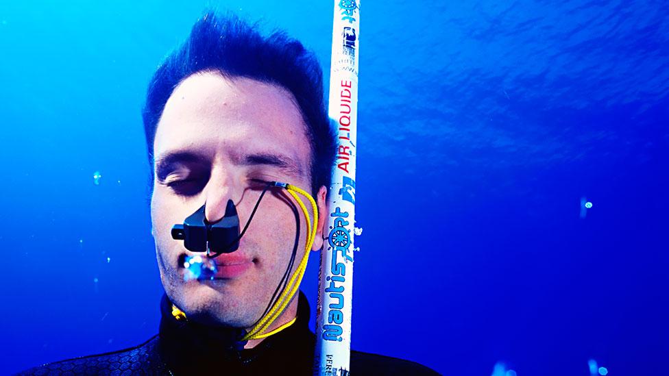 A freediver descends into the ocean with the aid of a pole – some people and animals have an impressive talent for holding their breath. (Science Photo Library) A freediver descends into the ocean with the aid of a pole – some people and animals have an impressive talent for holding their breath. (Science Photo Library)