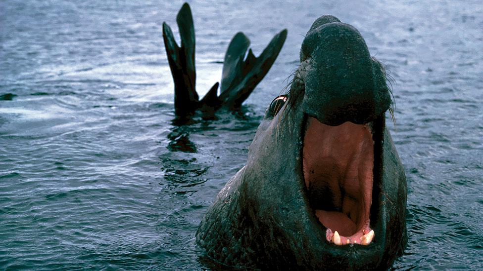 Some southern elephant seals can stay underwater for over two hours in search of fish or squid to eat. (Science Photo Library) Some southern elephant seals can stay underwater for over two hours in search of fish or squid to eat. (Science Photo Library)