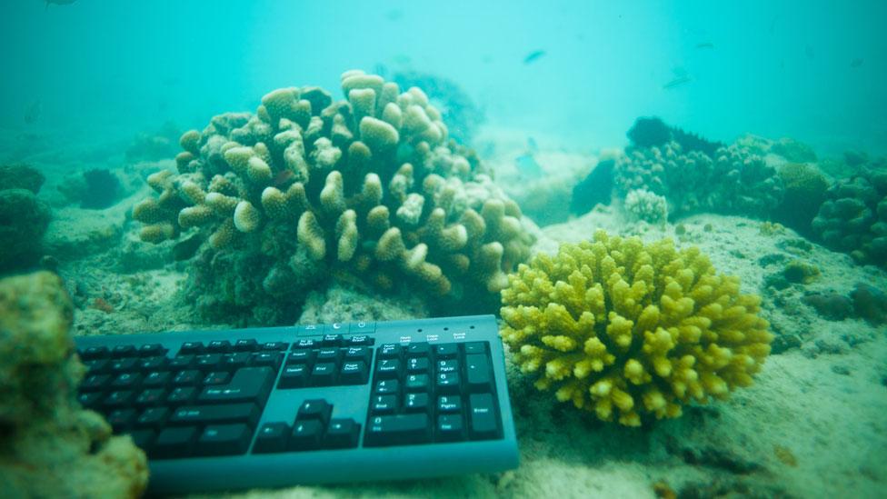 If we could all be transported to the bottom of the ocean, would it change how we feel about its conservation? (Thinkstock) If we could all be transported to the bottom of the ocean, would it change how we feel about its conservation? (Thinkstock)