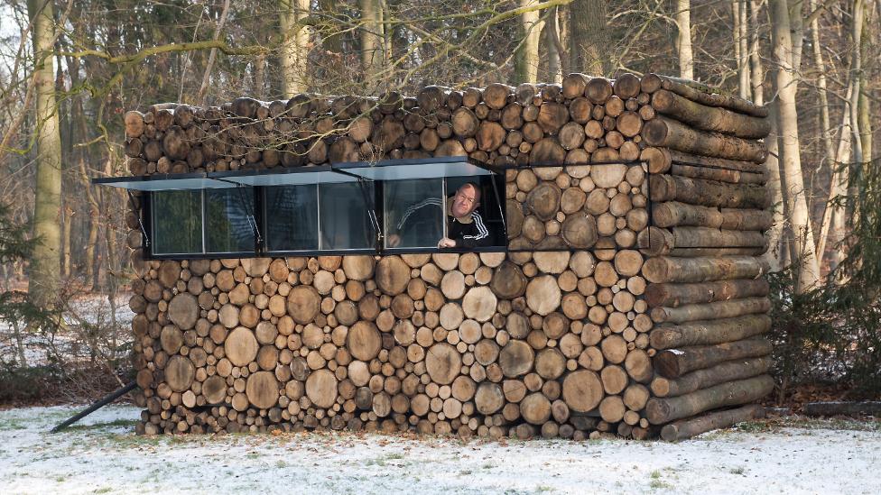 See the wood for the trees See the wood for the trees