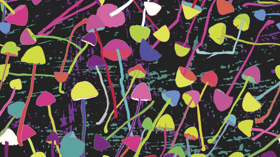 The drug is the same as found in magic mushrooms, but they are not administered this way (Credit: Thinkstock) The drug is the same as found in magic mushrooms, but they are not administered this way (Credit: Thinkstock)