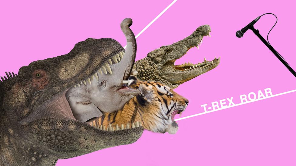 The T-Rex roar was made with myriad animal sounds (Credit: Olivia Howitt) The T-Rex roar was made with myriad animal sounds (Credit: Olivia Howitt)