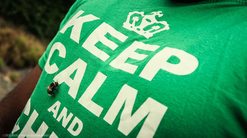 Software used to create T-shirt slogans similar to this one generated offensive results (Credit: Michal Huniewicz/Flickr/CC BY 2.0) Software used to create T-shirt slogans similar to this one generated offensive results (Credit: Michal Huniewicz/Flickr/CC BY 2.0)