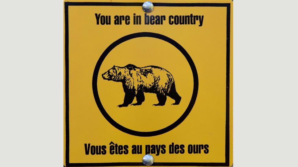 Nearly one-fifth of Canadians have French as their mother tongue (Credit: Alamy) Nearly one-fifth of Canadians have French as their mother tongue (Credit: Alamy)