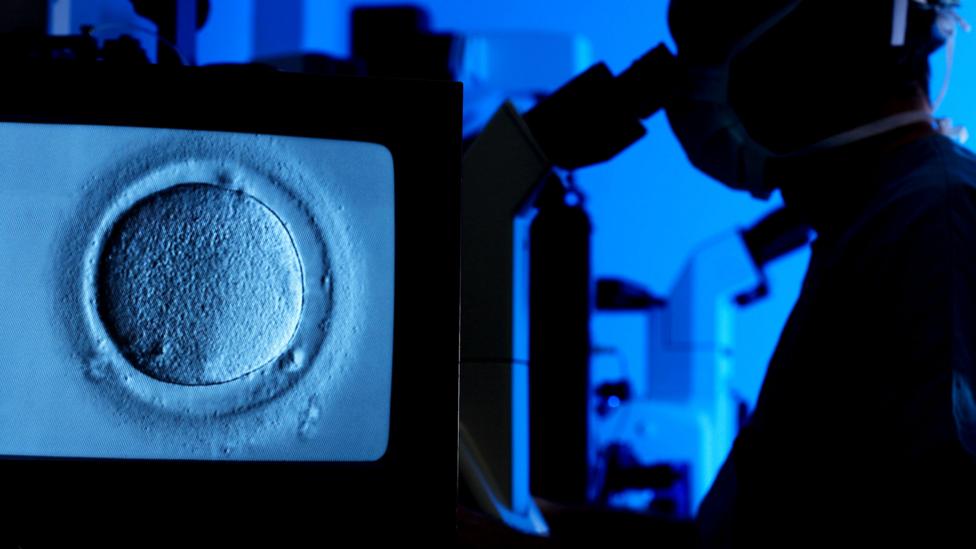 One researcher believes that it might one day be possible to switch on a woman's ability to produce vastly more eggs (Credit: SPL) One researcher believes that it might one day be possible to switch on a woman's ability to produce vastly more eggs (Credit: SPL)