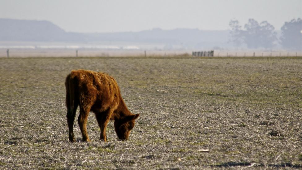 About 4% of the world’s croplands experience drought in any given year, but by the end of the century this figure is projected to jump to about 18% per year (Credit: Thinkstock) About 4% of the world’s croplands experience drought in any given year, but by the end of the century this figure is projected to jump to about 18% per year (Credit: Thinkstock)