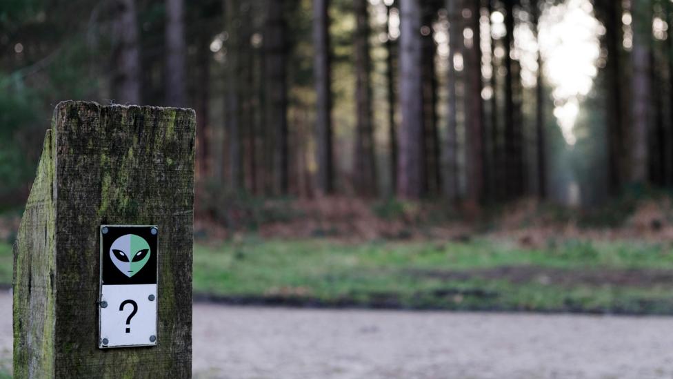 Today, the Rendlesham Forest incident is remembered with the park’s ‘UFO Trail’ (Credit: Clynt Garnham/Alamy) Today, the Rendlesham Forest incident is remembered with the park’s ‘UFO Trail’ (Credit: Clynt Garnham/Alamy)