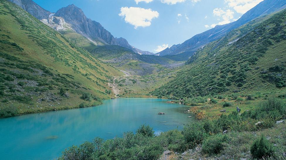 Kazakhstan's remote interior is no longer off-limits to Western horticulturists (Credit: Getty Images) Kazakhstan's remote interior is no longer off-limits to Western horticulturists (Credit: Getty Images)