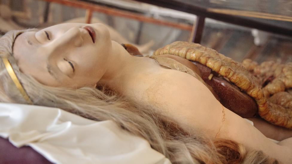 Dissecting beauty Dissecting beauty