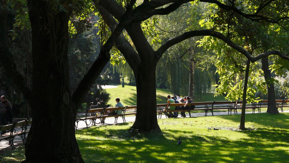 One of Vienna’s many green spaces dotted throughout the city (Credit: Martin Siepmann/ Alamy) One of Vienna’s many green spaces dotted throughout the city (Credit: Martin Siepmann/ Alamy)