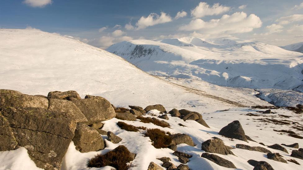 Scotland’s Cairngorms national park shares many features with Norway’s landscape (Credit: Alamy) Scotland’s Cairngorms national park shares many features with Norway’s landscape (Credit: Alamy)
