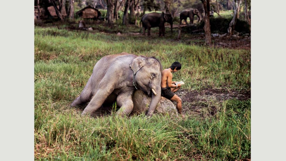 Chiang Mai, Thailand, 2010 (Credit: Steve McCurry/Magnum Photos) Chiang Mai, Thailand, 2010 (Credit: Steve McCurry/Magnum Photos)