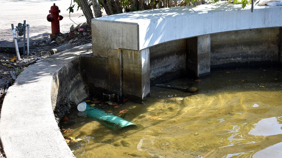 This outfall shows a common issue: right now, it is lower than the water level, meaning it can't drain (Credit: Amanda Ruggeri) This outfall shows a common issue: right now, it is lower than the water level, meaning it can't drain (Credit: Amanda Ruggeri)