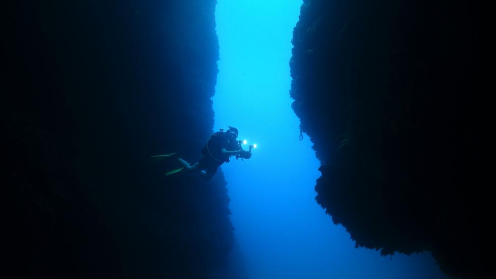 The Giant Undersea Rivers We Know Very Little About Bbc Future