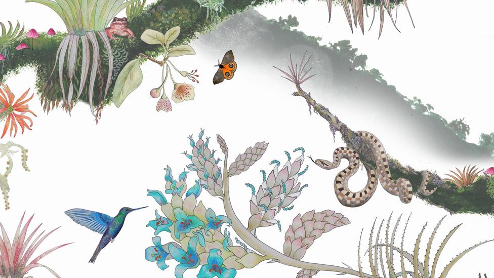 Madidi Clouds, inspired by the biodiversity of the Bolivian forest Madidi Clouds, inspired by the biodiversity of the Bolivian forest