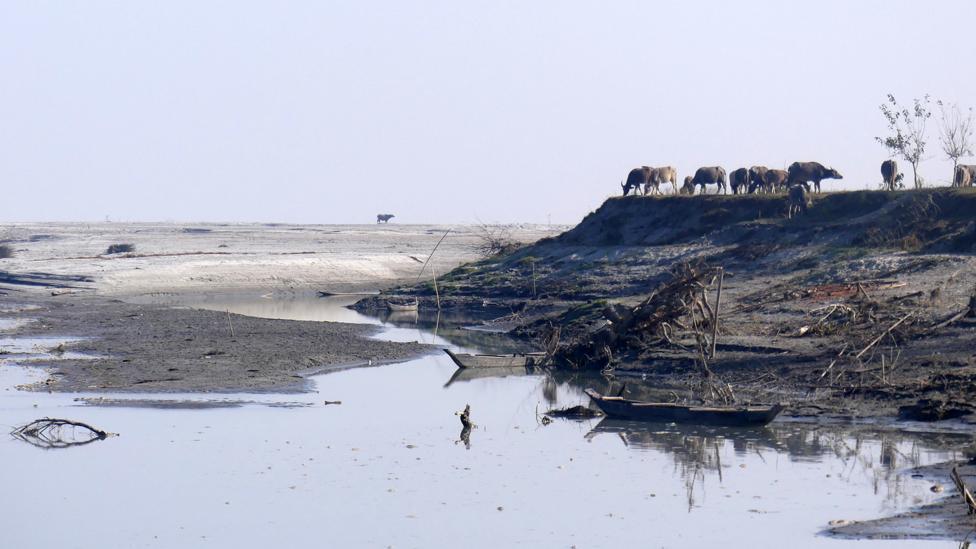 Despite its tranquillity, the Brahmaputra is a massive river whose volume is outdone only by the Amazon and Congo (Credit: Jules Montague) Despite its tranquillity, the Brahmaputra is a massive river whose volume is outdone only by the Amazon and Congo (Credit: Jules Montague)