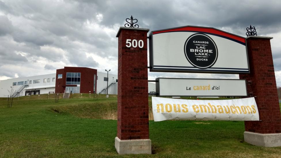 The sign outside Canards du Lac Brome facility says they're hiring (Credit: Lorcan Archer) The sign outside Canards du Lac Brome facility says they're hiring (Credit: Lorcan Archer)