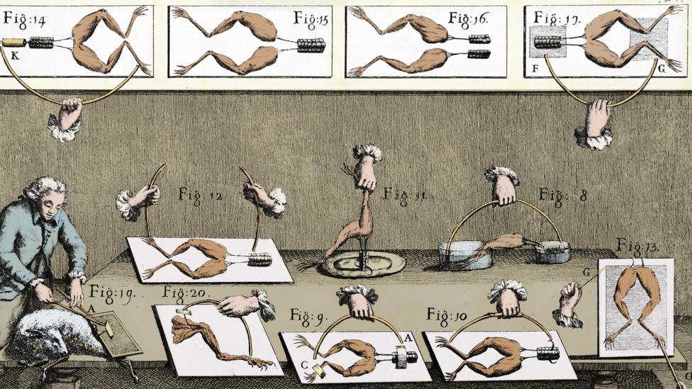 Luigi Galvani’s experiments using electricity to reanimate dead frogs was possibly one of the inspirations for the novel (Credit: Alamy) Luigi Galvani’s experiments using electricity to reanimate dead frogs was possibly one of the inspirations for the novel (Credit: Alamy)