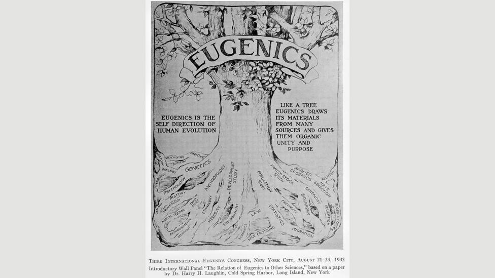The world’s first eugenics law was passed in Indiana in 1907, when the state required that institutionalised people be sterilised (Credit: Wellcome Collection) The world’s first eugenics law was passed in Indiana in 1907, when the state required that institutionalised people be sterilised (Credit: Wellcome Collection)