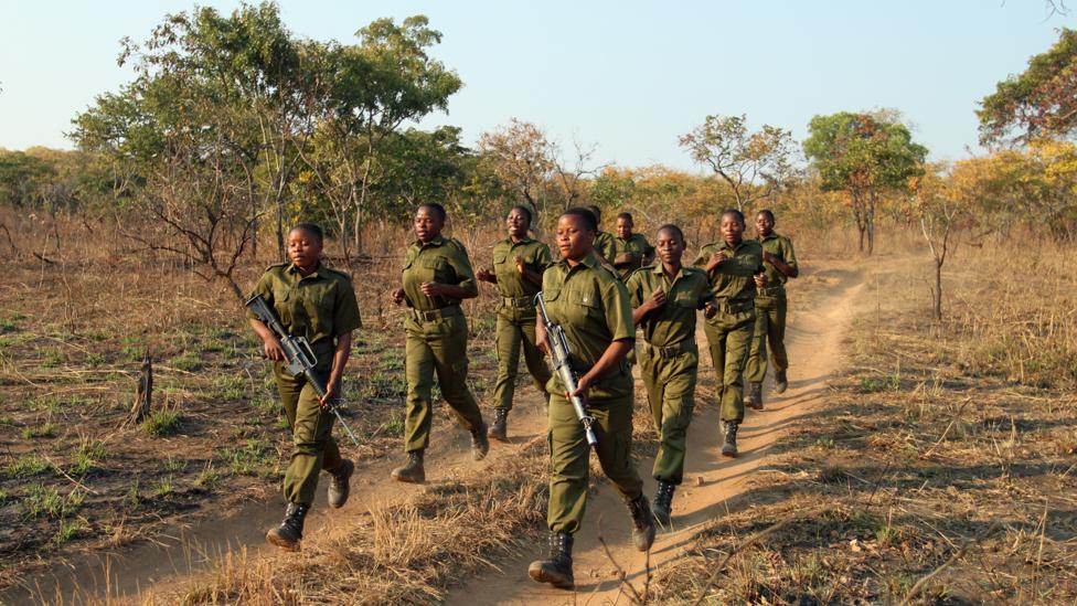 The Akashinga rangers training in the field; they often sing as they run (Credit: Rachel Nuwer) The Akashinga rangers training in the field; they often sing as they run (Credit: Rachel Nuwer)