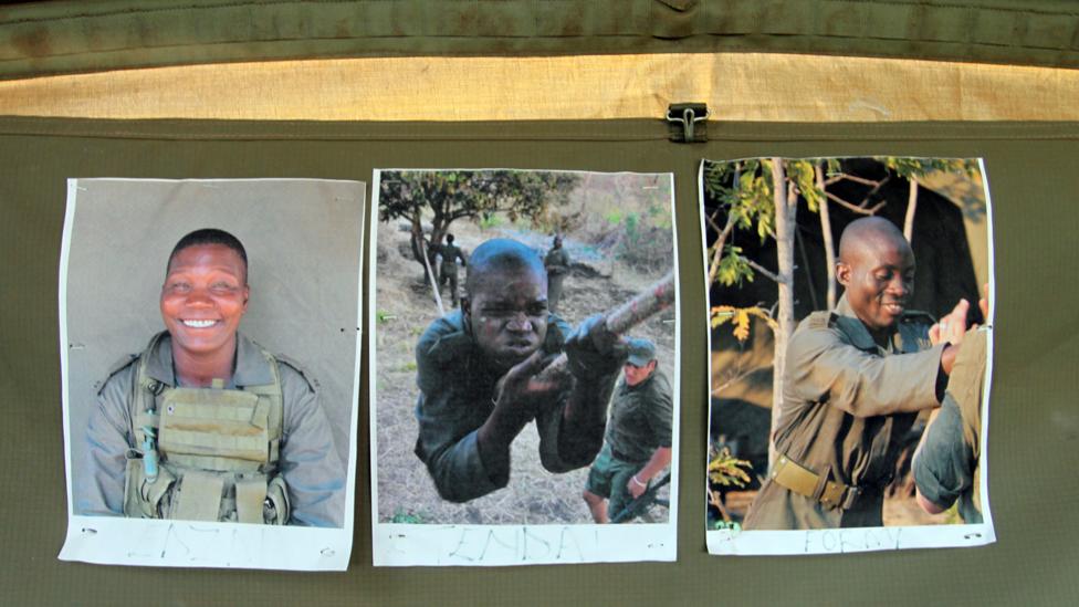 Today, motivational shots of the Akashinga rangers decorate the operations tent at Phundundu Wildlife Park (Credit: Rachel Nuwer) Today, motivational shots of the Akashinga rangers decorate the operations tent at Phundundu Wildlife Park (Credit: Rachel Nuwer)