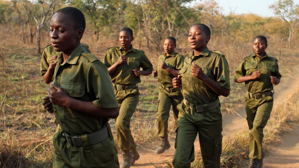 Conoce a las valientes mujeres que están combatiendo la caza furtiva de elefantes en Zimbabue Image result for Akashinga zimbabwe