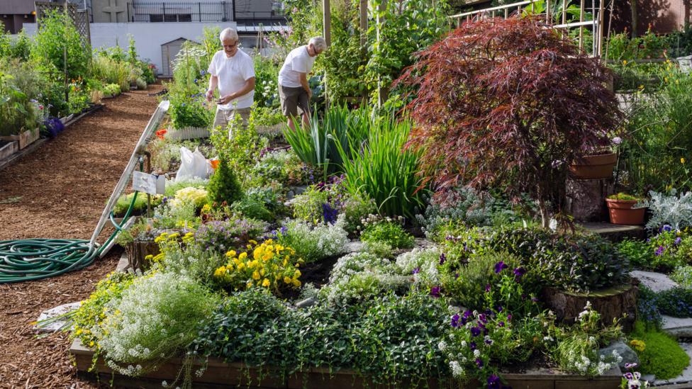 Gardening Could Be The Hobby That Helps You Live To 100 Bbc Worklife