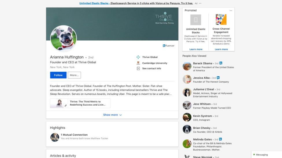 Can we level the playing field on LinkedIn by turning ourselves into randomly-generated photos of dogs? Can we level the playing field on LinkedIn by turning ourselves into randomly-generated photos of dogs?