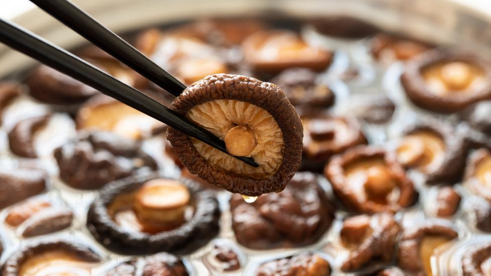 The Man Who Discovered Umami Hacker News Digitalive World