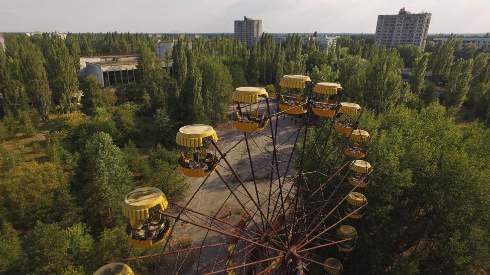 How Plants Reclaimed Chernobyl S Poisoned Land Bbc Future