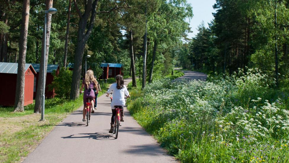Women cycling Women cycling