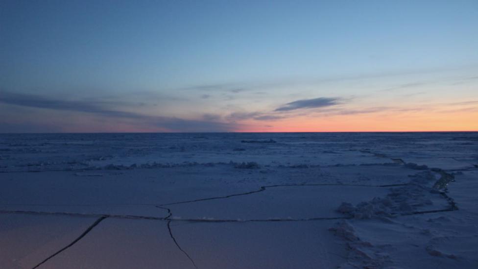 Cracks in the ice and a pressure ridge (Credit: Martha Henriques) Cracks in the ice and a pressure ridge (Credit: Martha Henriques)