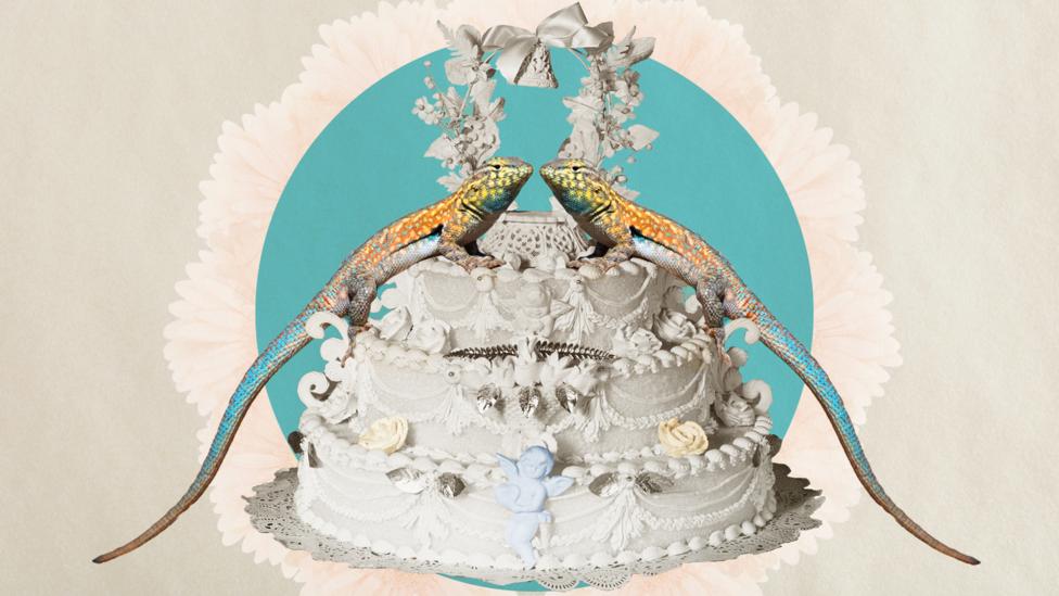 A lizard-couple on a wedding cake (Credit: Getty Images/ Alamy/ Javier Hirschfeld) A lizard-couple on a wedding cake (Credit: Getty Images/ Alamy/ Javier Hirschfeld)