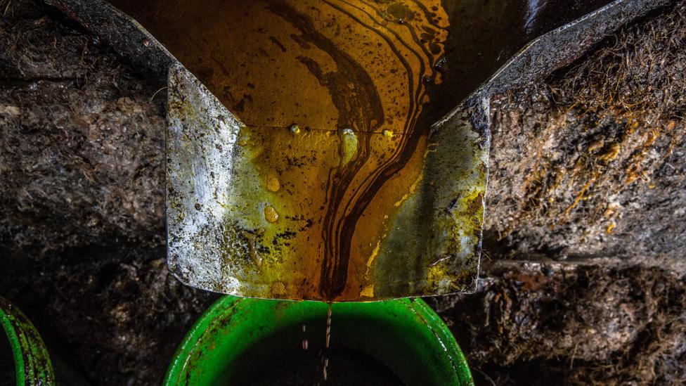 Palm oil dripping into pots from a press (Credit: Getty Images)
