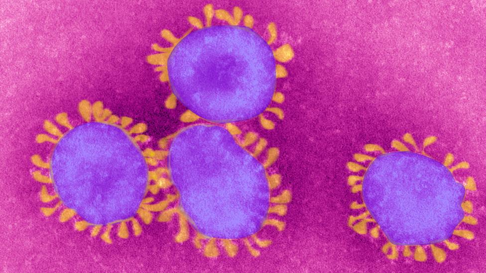 The global fight against coronavirus BBC Future