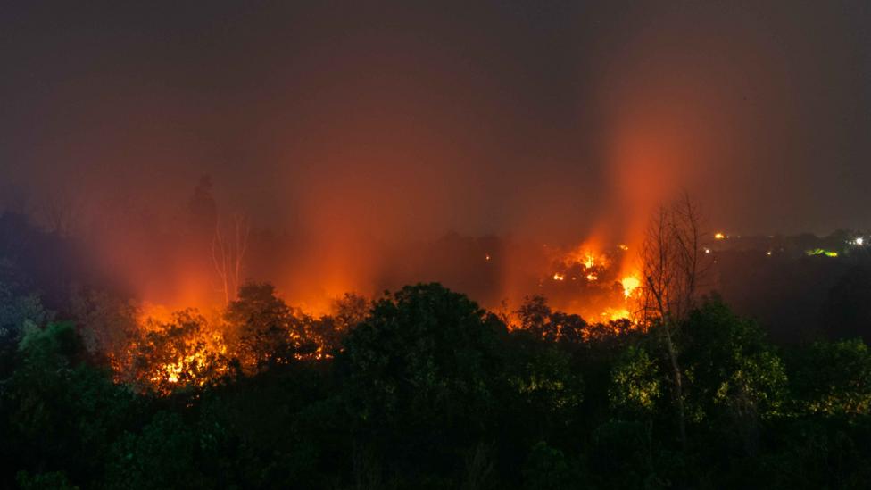 Forest fires in Indonesia have been fuelled by widespread drainage and drying of peatland swamps (Credit: Getty Images) Forest fires in Indonesia have been fuelled by widespread drainage and drying of peatland swamps (Credit: Getty Images)