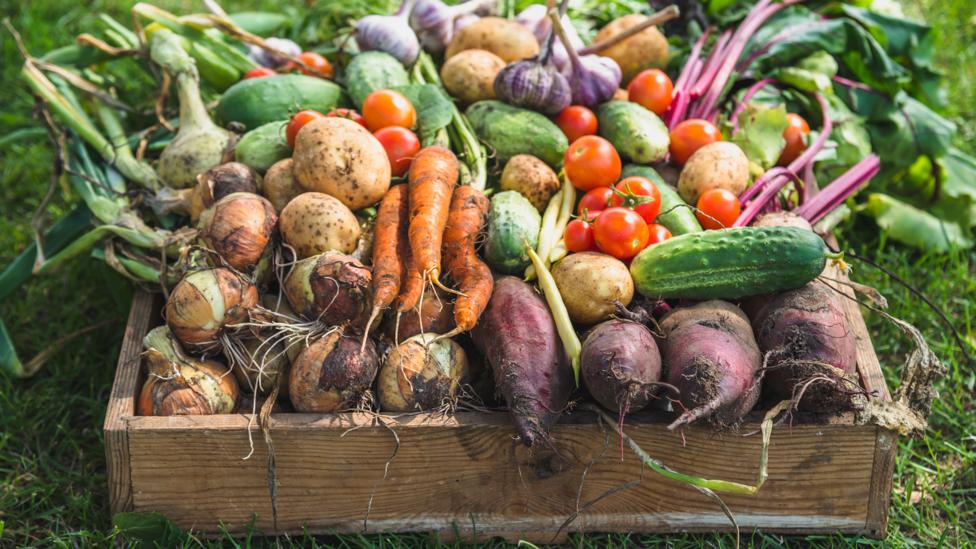 An assortment of vegetables in a wooden crate (Credit: Getty Images)