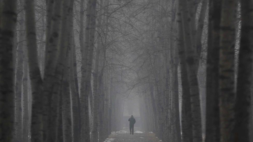 Air pollution in Beijing regularly exceeds 10 times the WHO recommended levels, but tree-planting schemes are being deployed in an attempt to cut pollution (Credit: Getty Images)