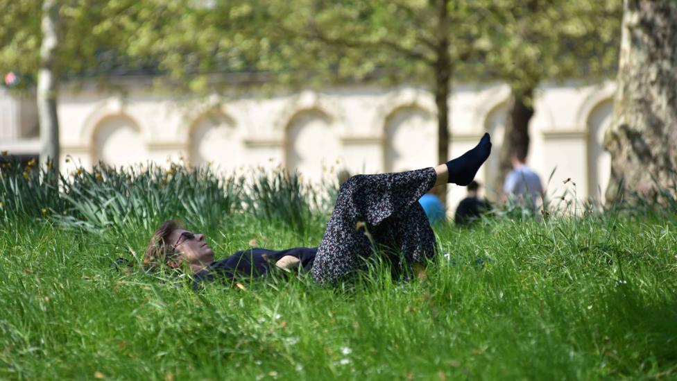 More green spaces in general can help with air pollution in cities, including plants other than trees in parks and gardens (Credit: Getty Images)