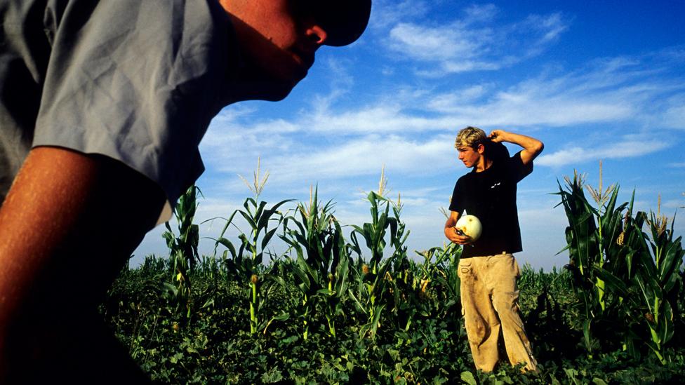 Is Afrikaans' future in rural pockets that resist the seismic changes in the country? (Credit: Getty Images)