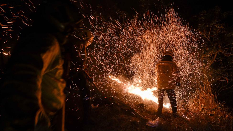 In Colombia, clearing forested regions leads to more hot spots where forest fires are highly likely to follow (Credit: Getty Images) In Colombia, clearing forested regions leads to more hot spots where forest fires are highly likely to follow (Credit: Getty Images)