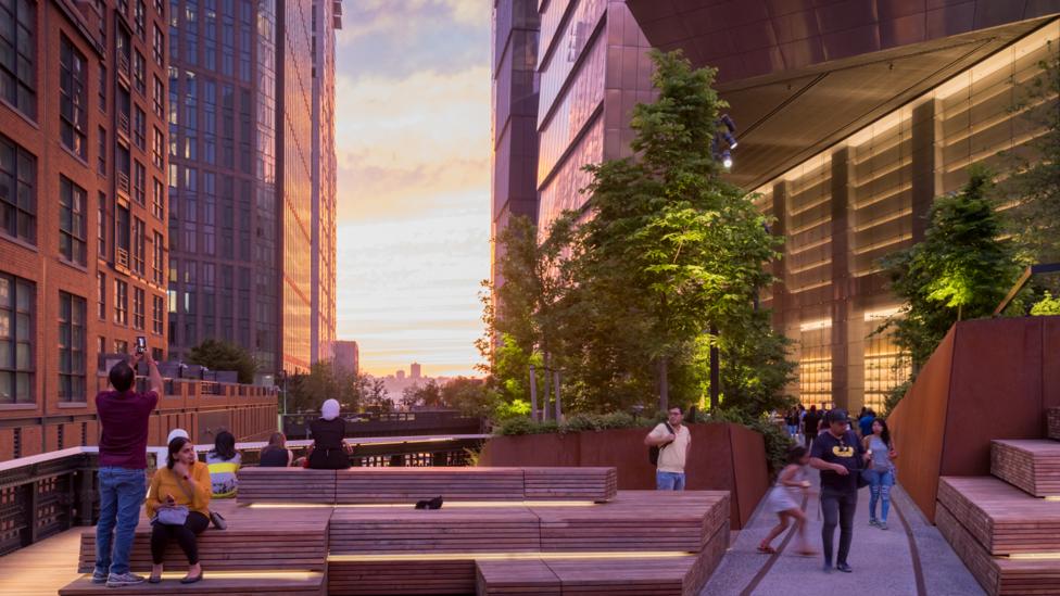 The High Line successfully blends nature and architecture (Credit: Iwan Baan)